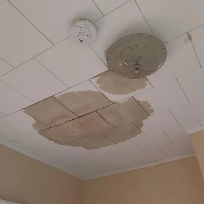 Ceiling Water Damage Repair in Tilton, IL