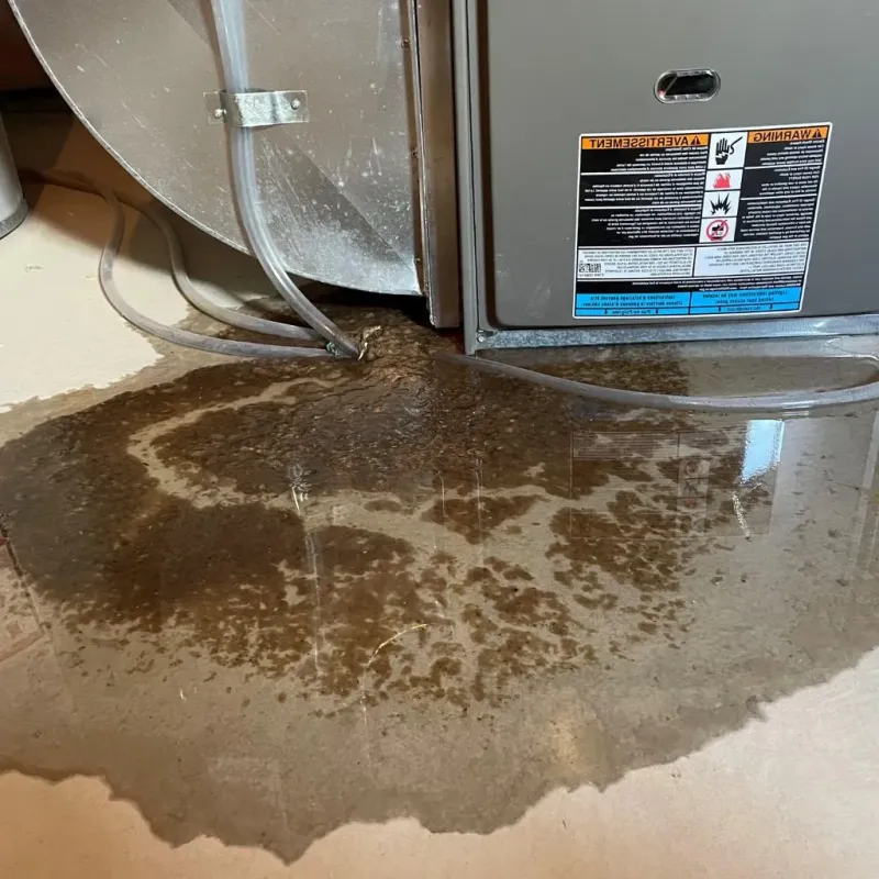 Pipe Burst and Leak Restoration in Tilton, IL
