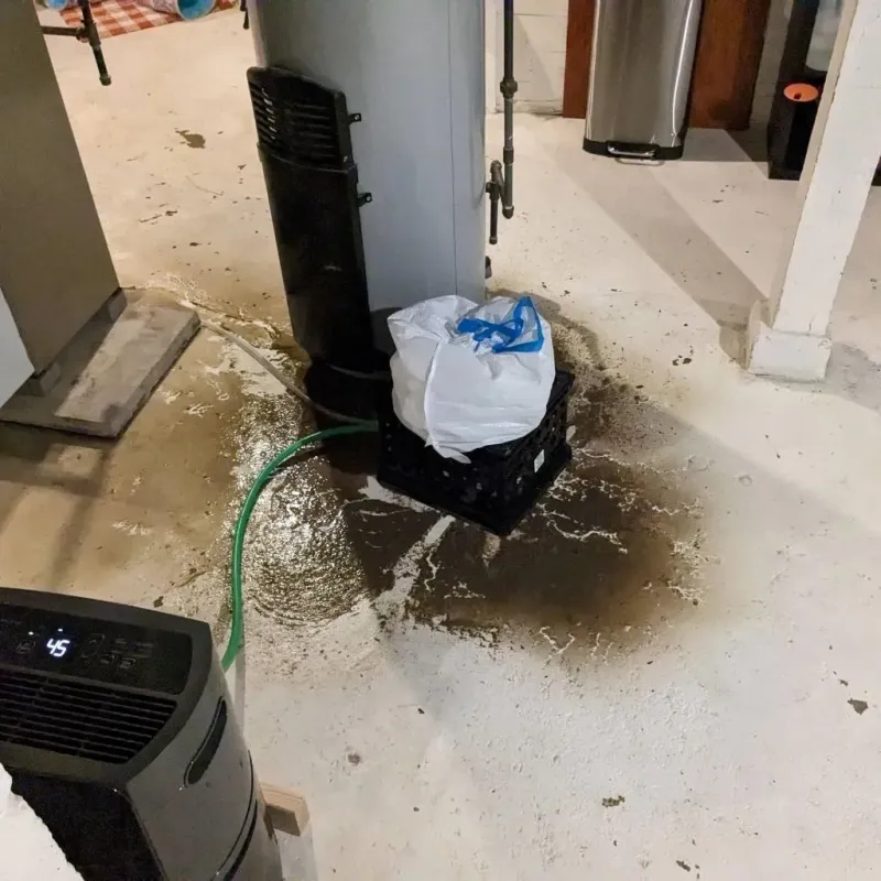 Sewage Backup Cleanup Service in Tilton, IL